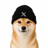 XDOG