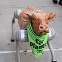 ROBOT COW