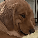 RAPEDOG