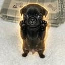 Nugget