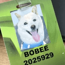 BOBEE