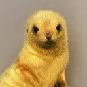 Seal