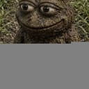 shit pepe