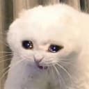 crycat