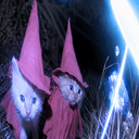 WIZARD