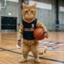 Ball