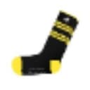 BSOCK