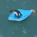 POB