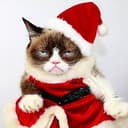 Grumpy