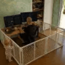 Cage