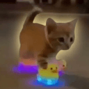 QUAKCAT