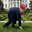 Trumpothy