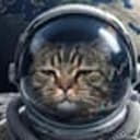 MOONCAT