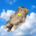 float