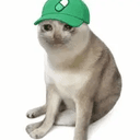 PUMPCAT