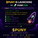 punycode