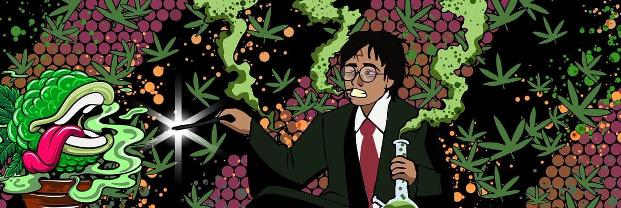 Harry Pothead Banner