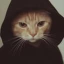 catbal