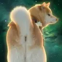 オモティ