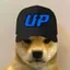 updog