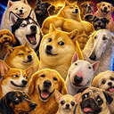 DOGUST