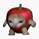 AAPLCAT