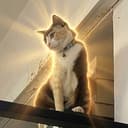 FRCAT