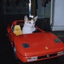 RARI