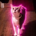 PEPPER