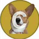 CORGI