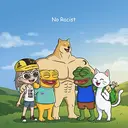 NO RACIST
