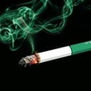 CIGARETTE