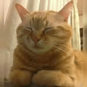 Milo