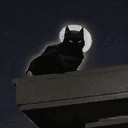 catman