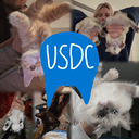 USDC