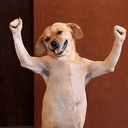 WIN