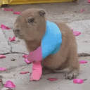 Mochi
