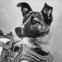 LAIKA