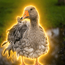 GOOSEY
