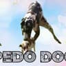PEDODOG