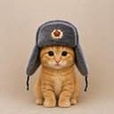 котек