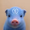 peg