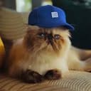 BASED CAP