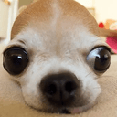 FOMO