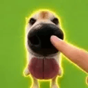 BOOP
