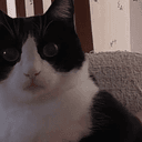 30to30