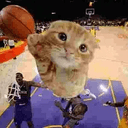 Ballincat43