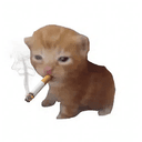 cig