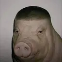 Pigger