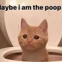 poopcat